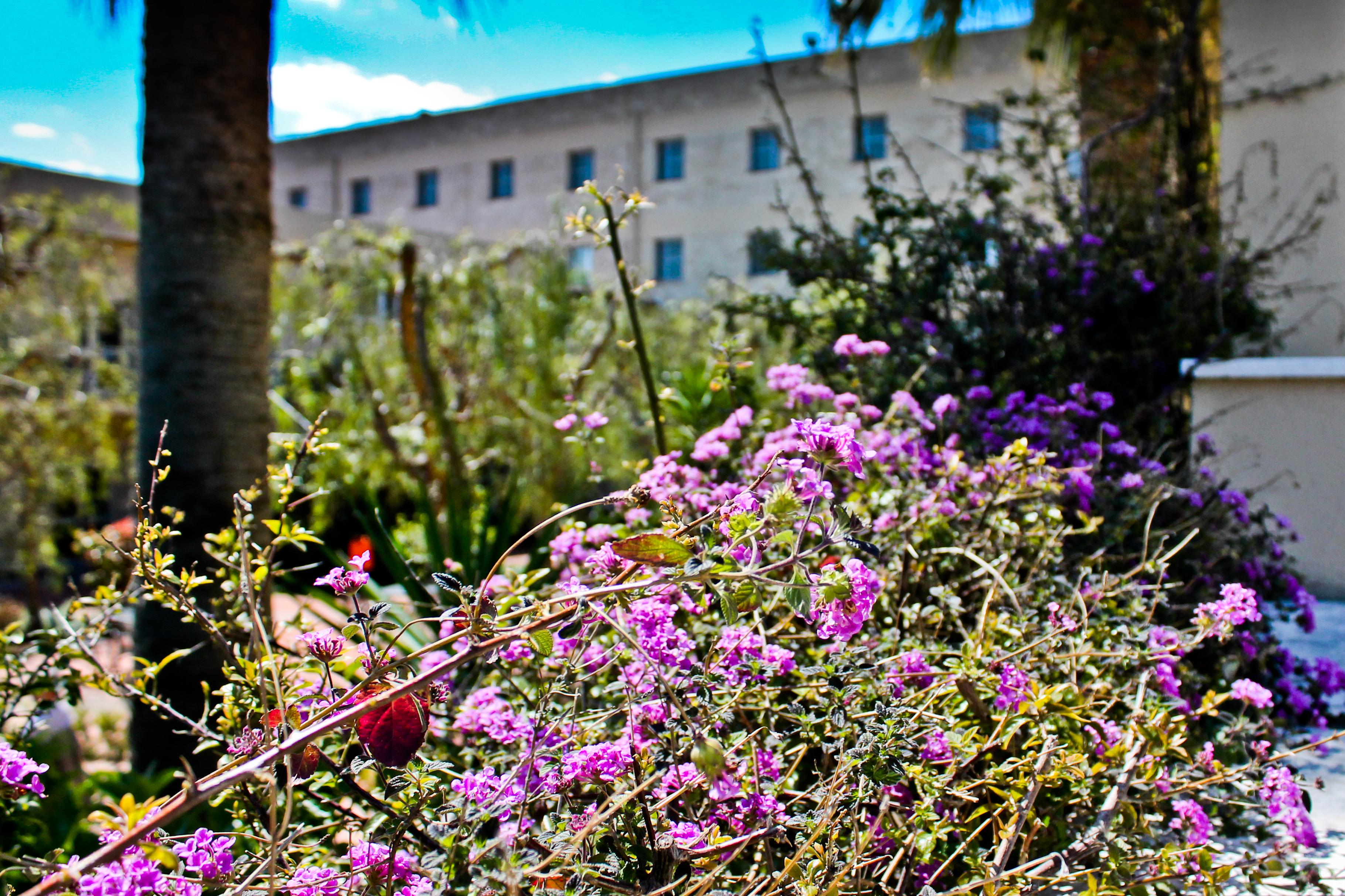 Hotel Majesty Bari Buitenkant foto